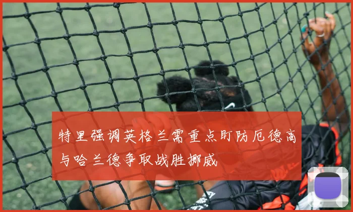特里强调英格兰需重点盯防厄德高与哈兰德争取战胜挪威